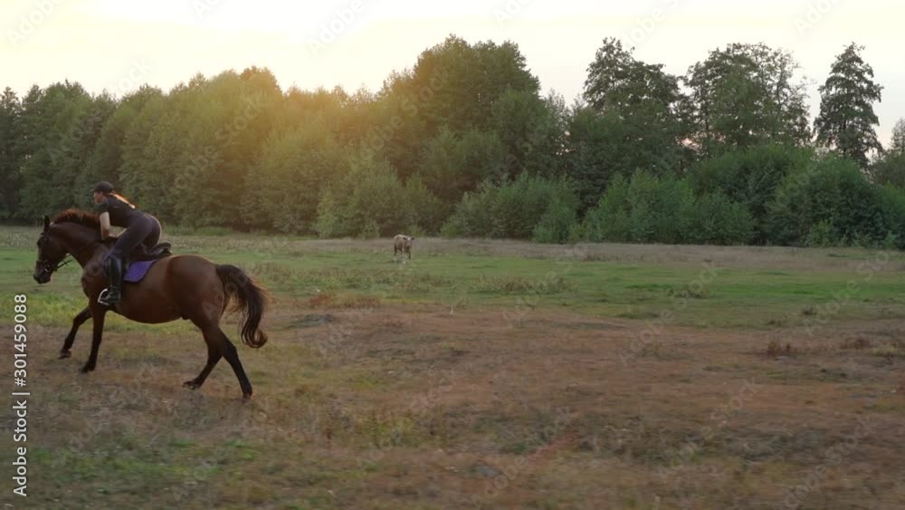 Woman riding horse by gallop at sunset. Horseback riding Woman riding horse by gallop at sunset. Horseback riding