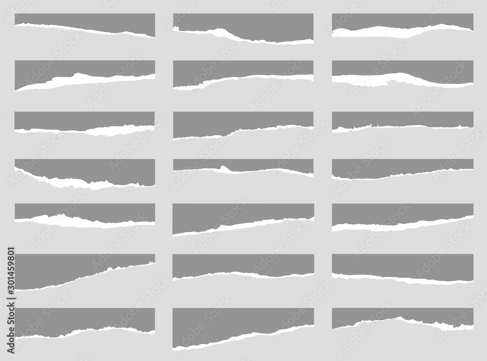 Torn sheets of paper. Set of torn paper. Paper waste.Vector graphic
