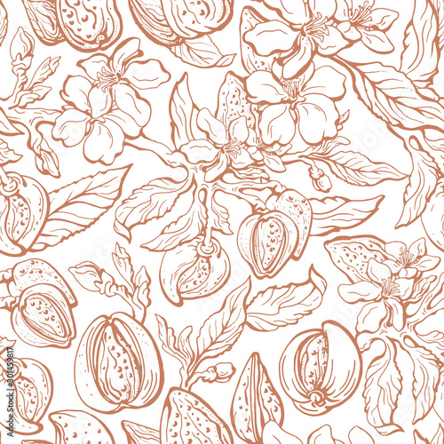 Almond seamless pattern. Vector floral background
