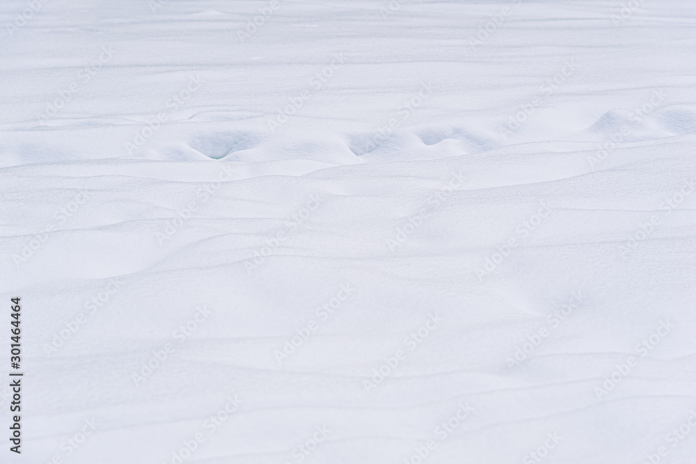 Fototapeta premium winter abstract snow background close up
