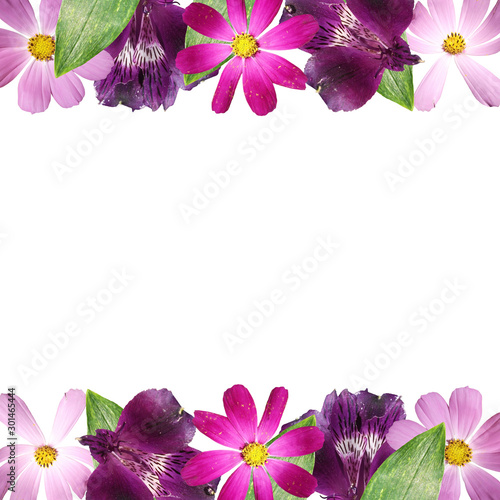 Beautiful floral background of Alstroemeria and kosmeya. Isolated