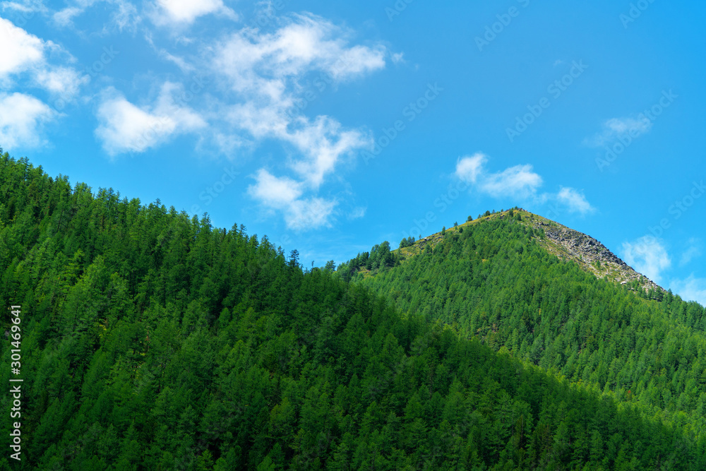 Mountainous landscape, picture mountain range in the summer day. Mountainous landscape, picture mountain range in the summer day.