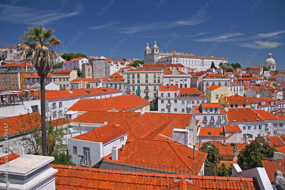 Colorful panorama of Lisbon with red roves