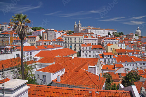 Colorful panorama of Lisbon with red roves