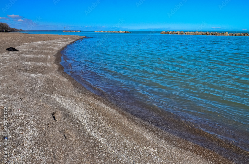 Sandy Shore Stormy Dreissen Mollusk Shells on Lake Erie, Ohio USA