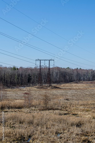 Electric transmission lines in the forest