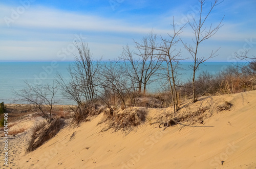 Sand dunes with sparse drought tolerant vegetation. Indiana Dunes National Lakeshore  USA