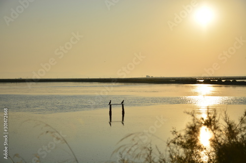 sunset on lake