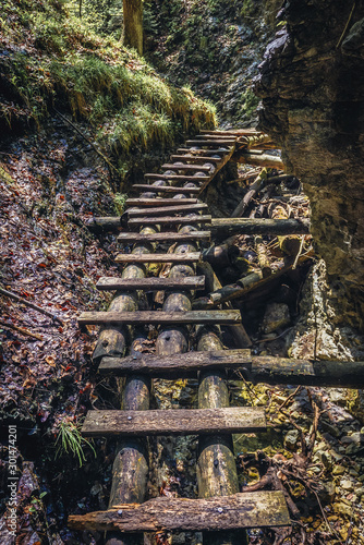 Wooden ladder on the Sucha Bela famous hiking trail in park called Slovak Paradise, Slovakia