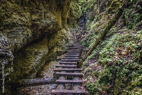 Ladders on the Sucha Bela hiking trail in park called Slovak Paradise  Slovakia