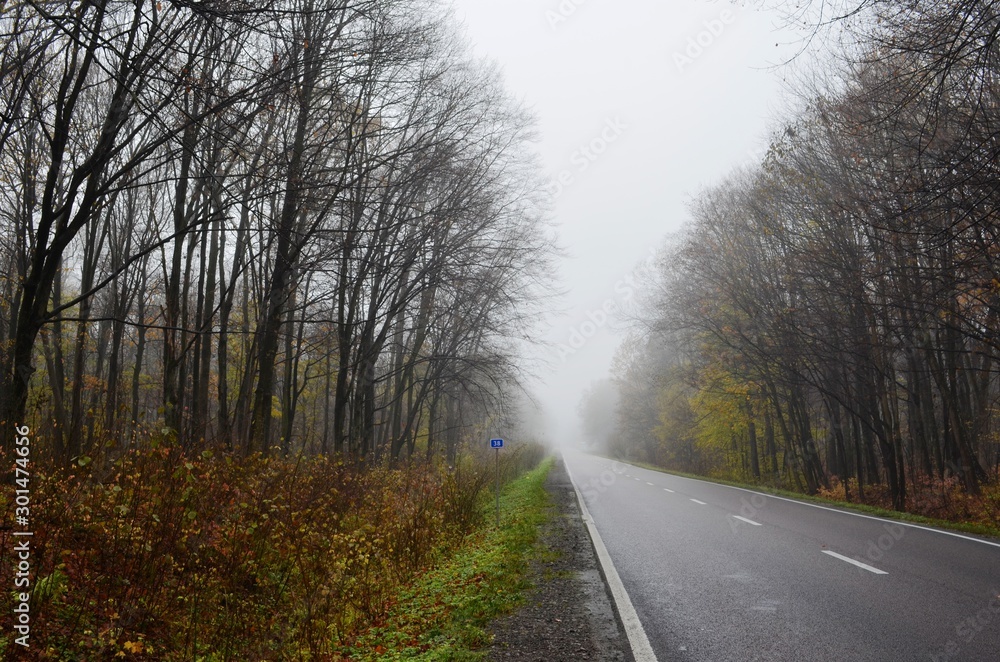 Highway in fog on forest background