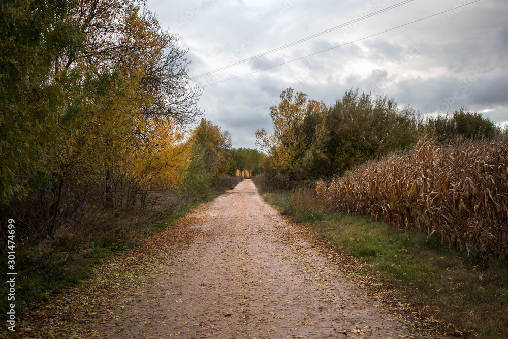 Autumn countryside landscape