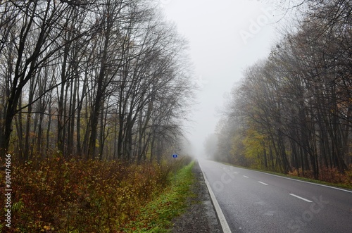 Highway in fog on forest background