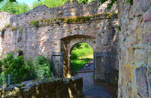 the ruins of an old castle in Baden-Baden