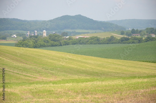 landscape with green field and blue sky © aureolab
