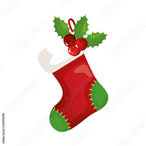 sock christmas with seeds and leafs decorative vector illustration design