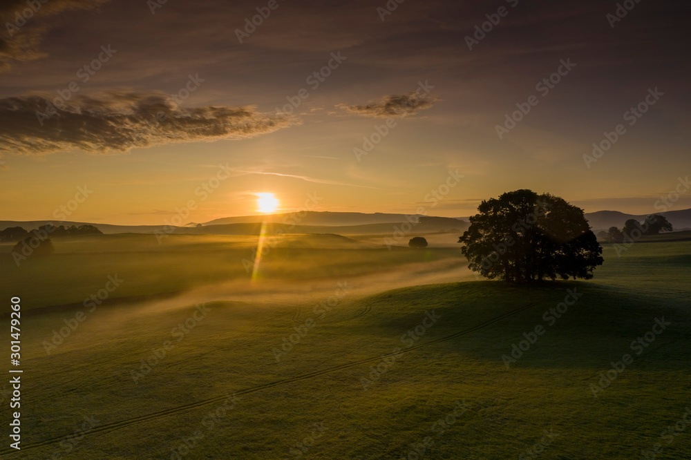 Sunrise over a tree in the Yorkshire Dales Sunrise over a tree in the Yorkshire Dales