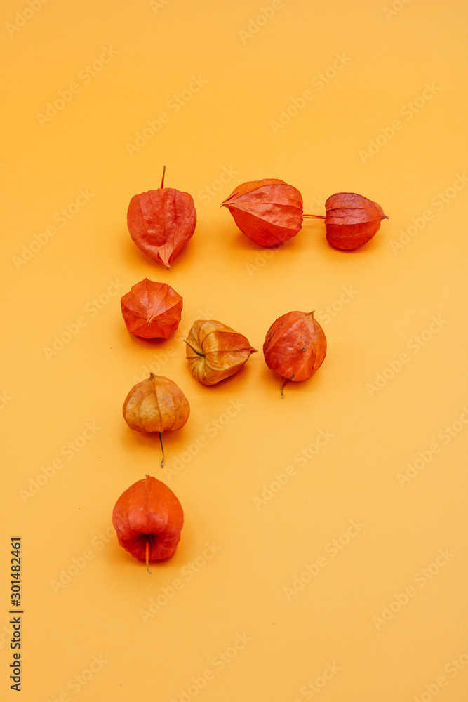 Letter F made out of Chinese lantern fall flower heads isolated on coloured background.