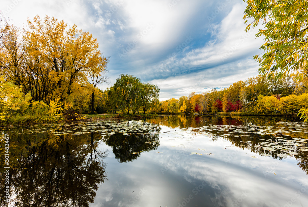 Angrignon parc in full fall colors, Quebec, Canada.