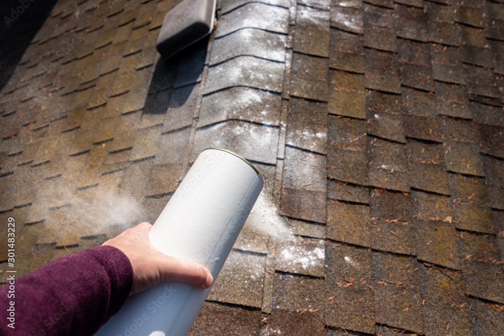 Woman’s hand shaking moss killer granules on the ridgeline of a house