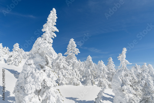 Wallpaper Mural 西吾妻山の樹氷 Torontodigital.ca