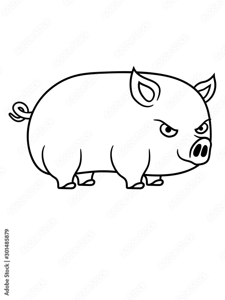 ferkel cooles schwein böse sau eber wildschwein comic cartoon design clipart fleisch steak hunger lecker schweinerei dick fett ferkel cooles schwein böse sau eber wildschwein comic cartoon design clipart fleisch steak hunger lecker schweinerei dick fett