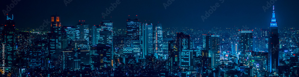 東京都市風景 新宿の夜景 Night view of Shinjuku Tokyo