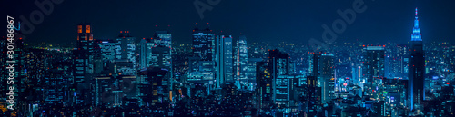 東京都市風景 新宿の夜景 Night view of Shinjuku Tokyo © 拓也 神崎