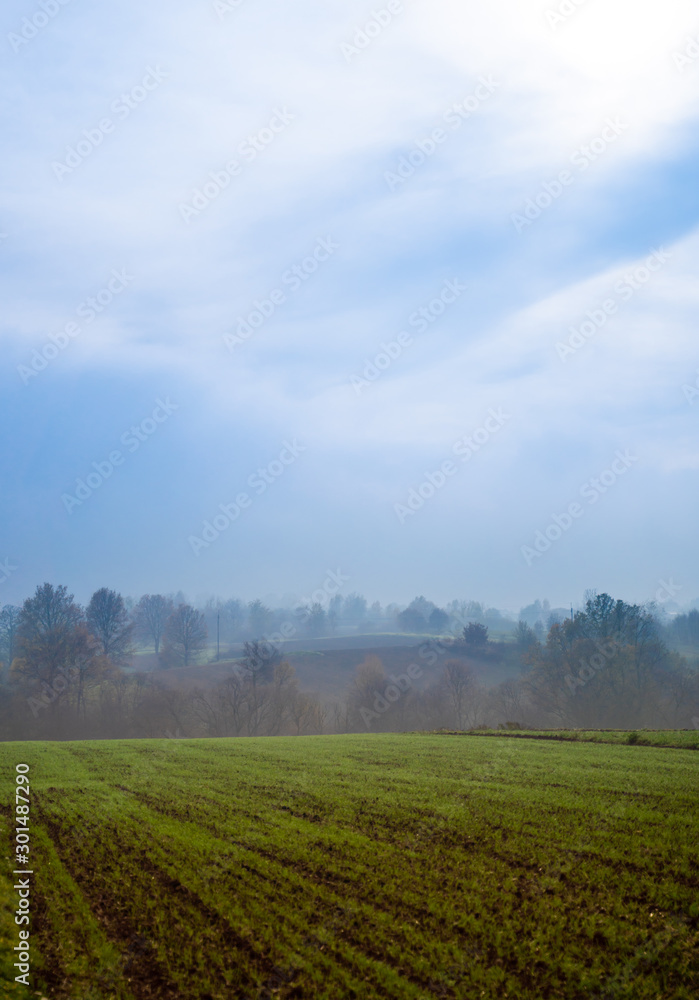 Morning, peacefull, misty country ranch green fields Morning, peacefull, misty country ranch green fields