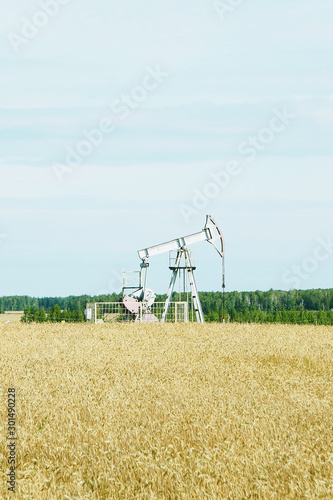 Oil rig in a wheat field next to a forest. Blue sky..