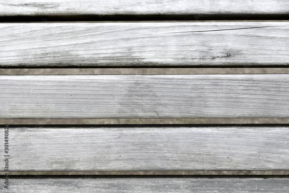 Fototapeta premium ベンチ