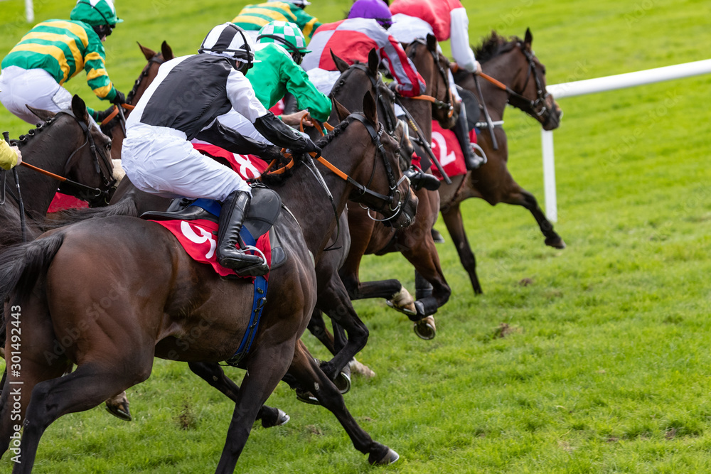 Group of galloping racehorses and jockeys Group of galloping racehorses and jockeys