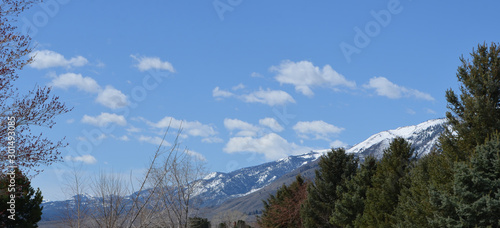 Spring in Nevada: View of the Carson Range of the Sierra Nevada Mountains from Carson Valley photo