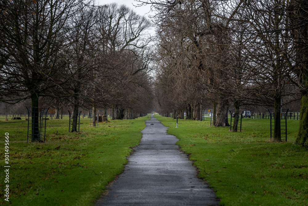 Perspective view of a park pathway where people trek and run, with irregular path shaped by green grass and surrounded by leafless trees in winter. Concept of tranquility, relax and fitness. Perspective view of a park pathway where people trek and run, with irregular path shaped by green grass and surrounded by leafless trees in winter. Concept of tranquility, relax and fitness.