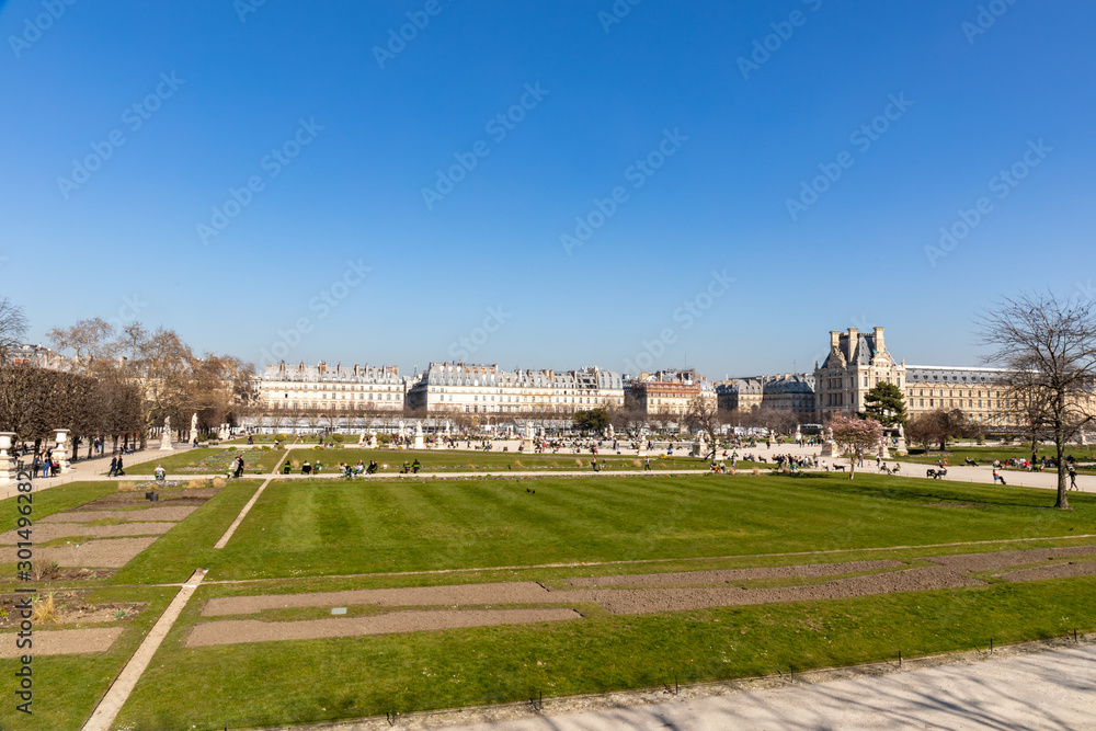 27 FEB 2019 - Paris, France - Tuilerie gardens