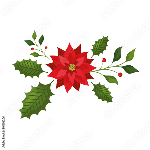 leafs with flower christmas isolated icon vector illustration design