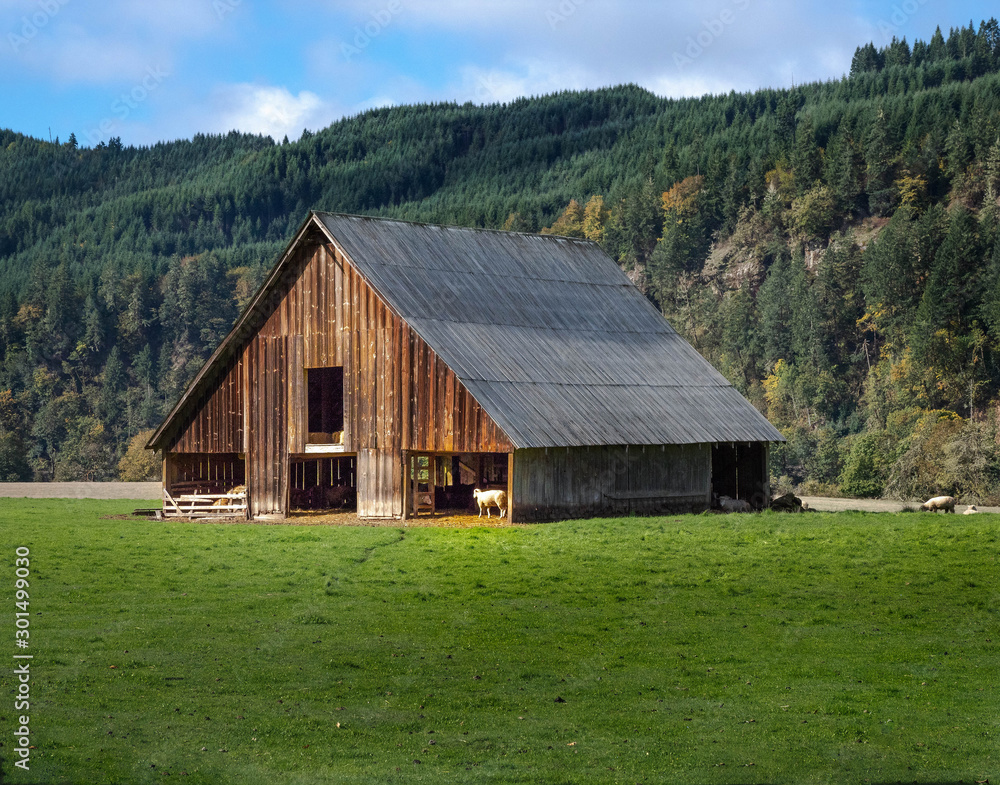 Obraz premium Oregon Barn