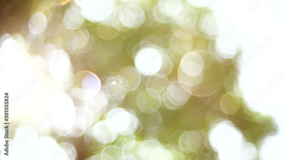 background with bokeh,Bokeh and Flare light from trees and sunlight background with bokeh,Bokeh and Flare light from trees and sunlight