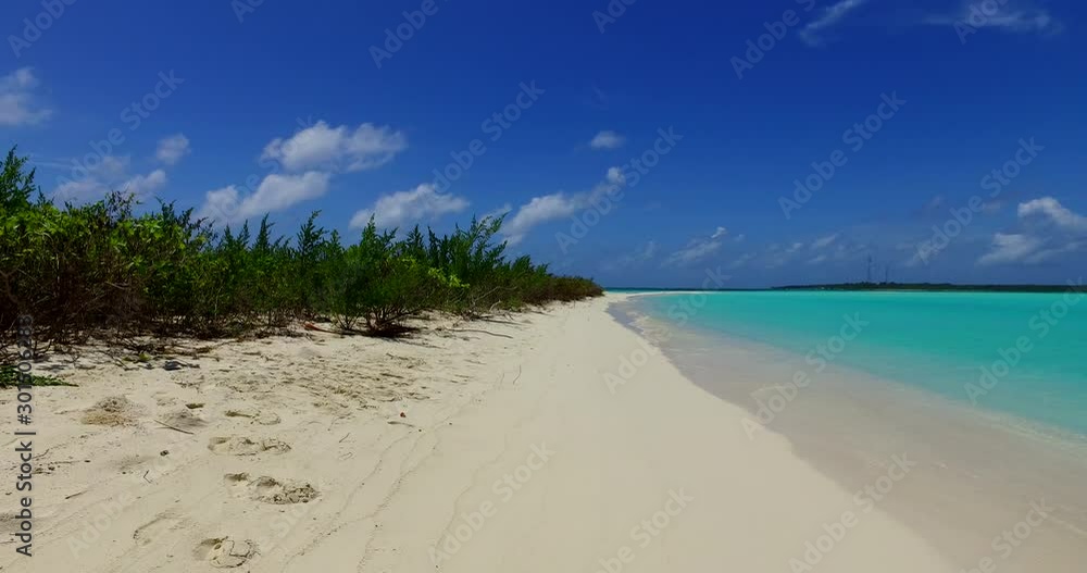 growing bushes in long seashore of indonesia growing bushes in long seashore of indonesia