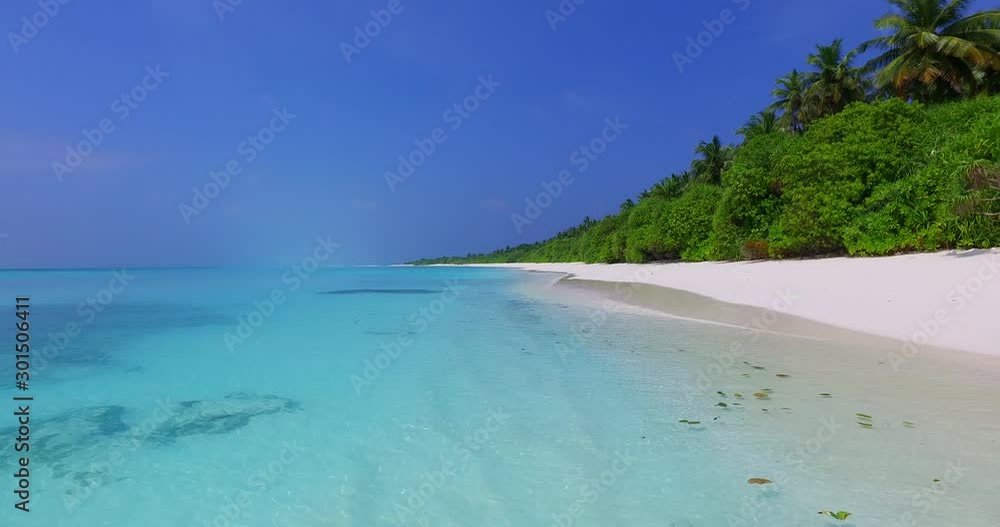 trees and bushes in high tide seaside of bahamas trees and bushes in high tide seaside of bahamas