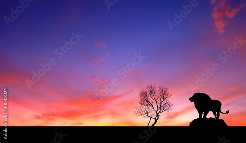 Amazing sunset and sunrise.Panorama silhouette tree in africa with sunset.Tree silhouetted against a setting sun.Dark tree on open field dramatic sunrise.Safari theme.