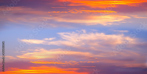 Fototapeta Naklejka Na Ścianę i Meble -  Amazing sunset and sunrise.Panorama silhouette tree in africa with sunset.Tree silhouetted against a setting sun.Dark tree on open field dramatic sunrise.Safari theme.
