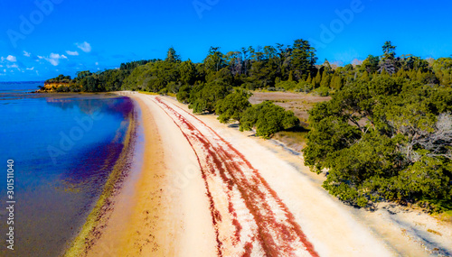 Awhitu REgional Park, Waiuku, New Zealand