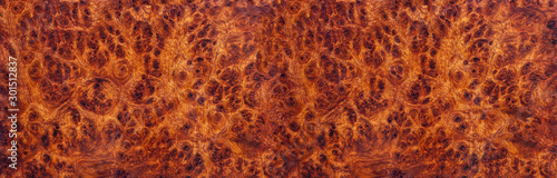 Amboyna burl wood striped Exotic wooden beautiful pattern