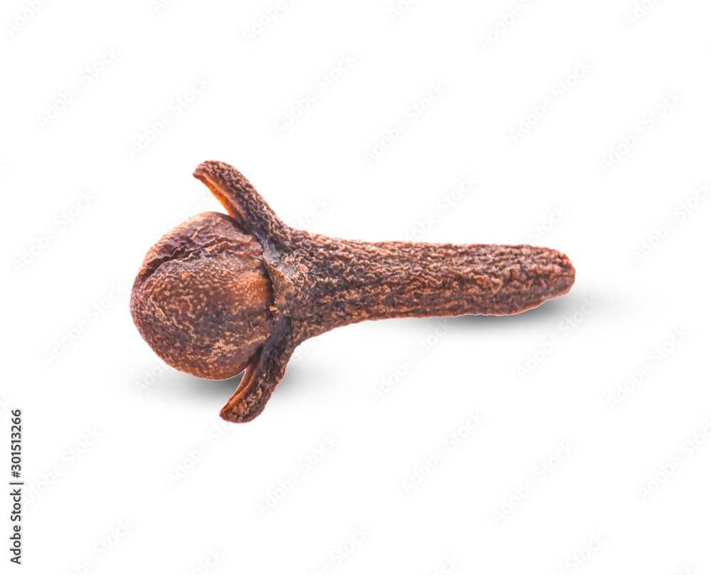 Fototapeta premium dry clove an isolated on white background