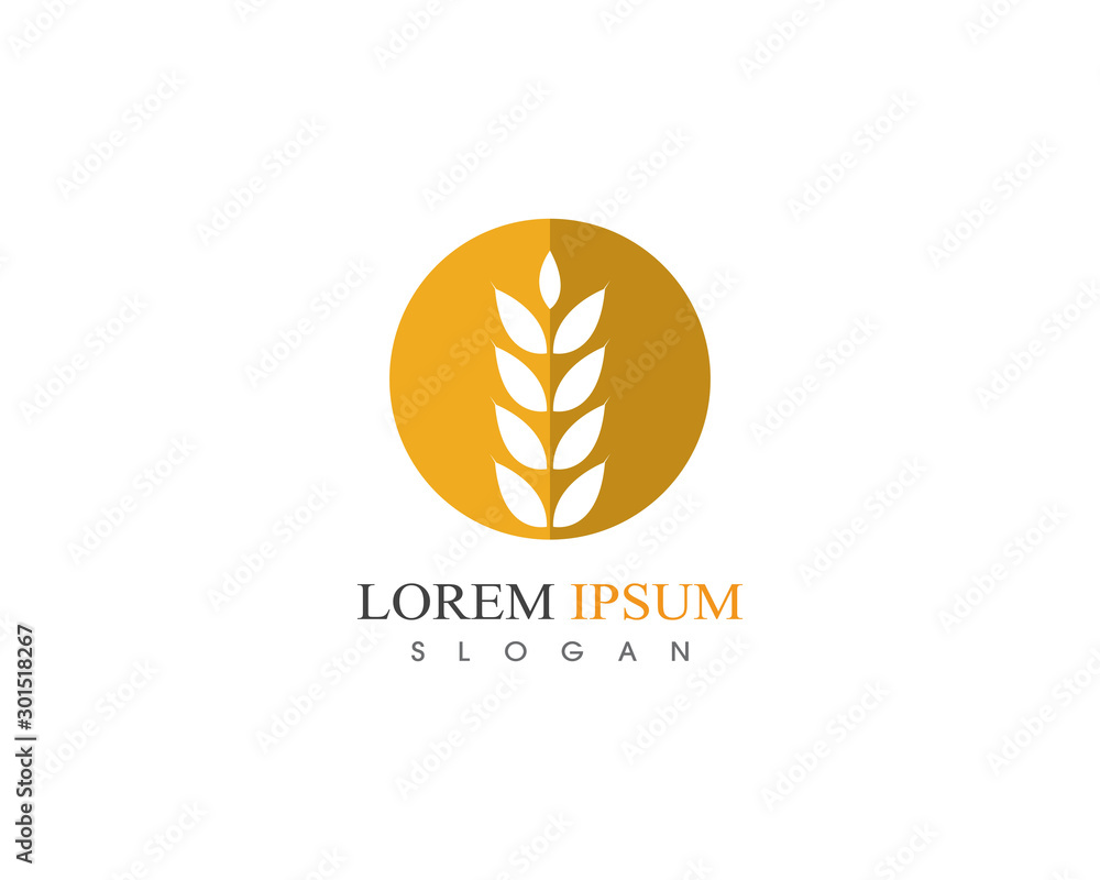 Wheat rice agriculture logo design icon vector template