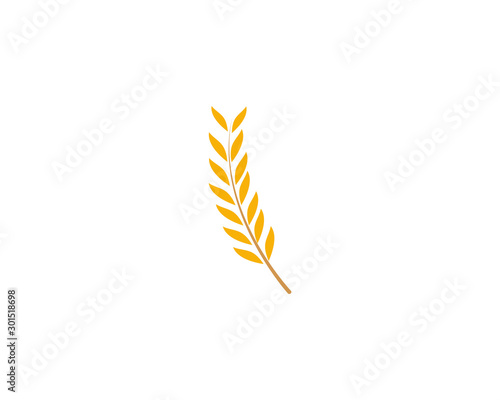 Agriculture wheat rice icon Template vector design
