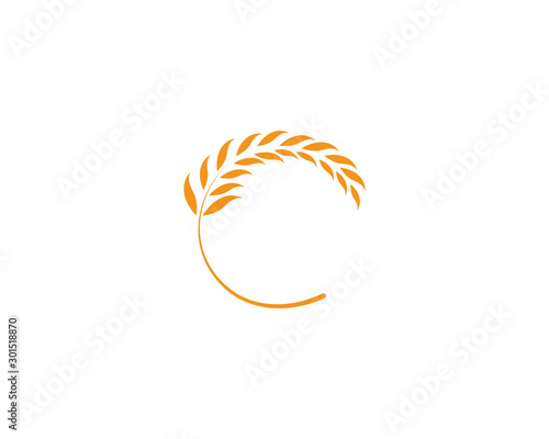 Agriculture wheat rice icon Template vector design