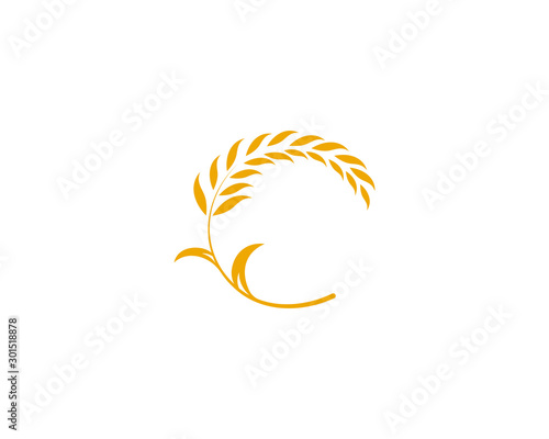 Agriculture wheat rice icon Template vector design
