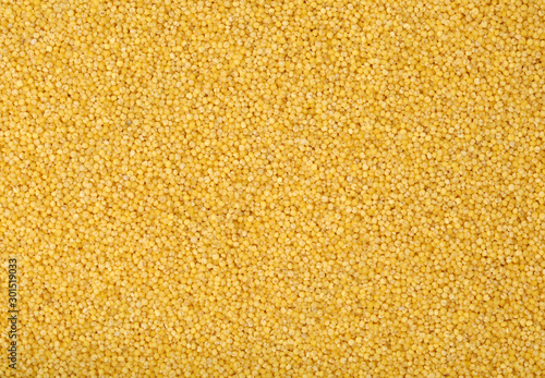 Millet background